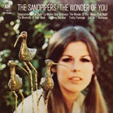 Sandpipers, The - The Wonder Of You